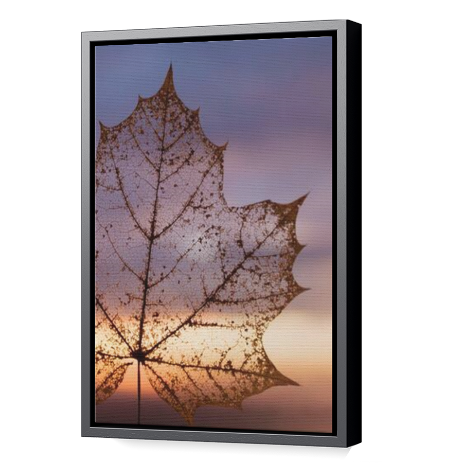 Thumbnail for Canvas - Black Floating Frame