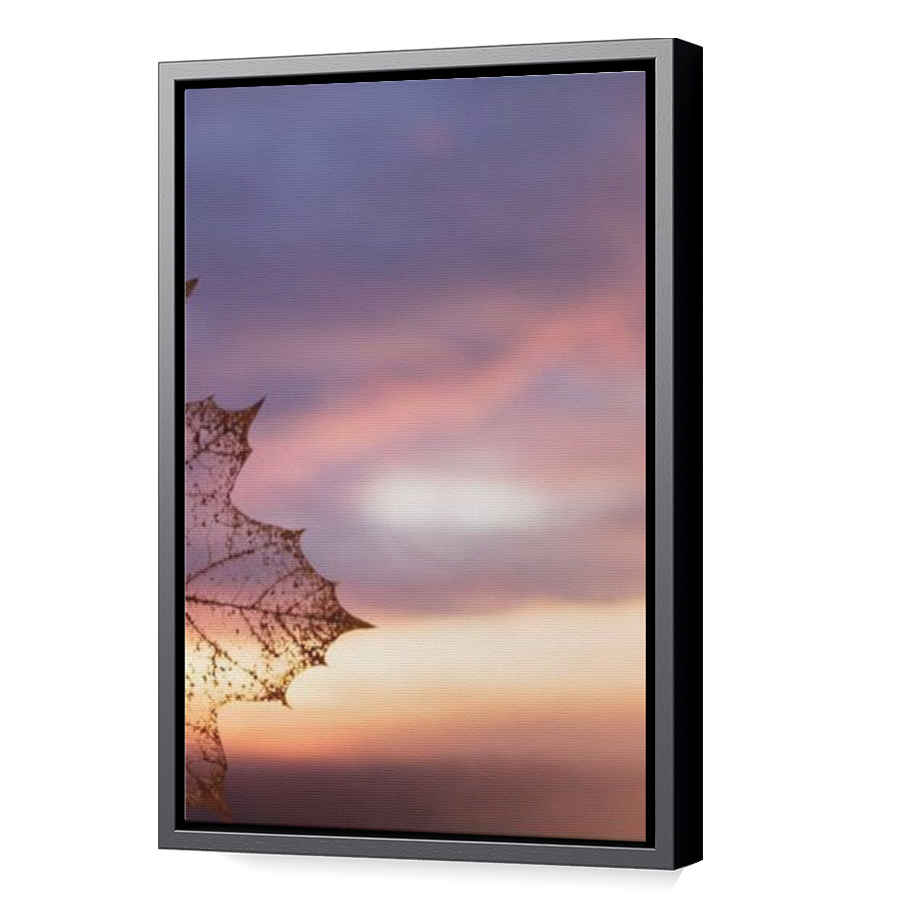 Thumbnail for Canvas - Black Floating Frame