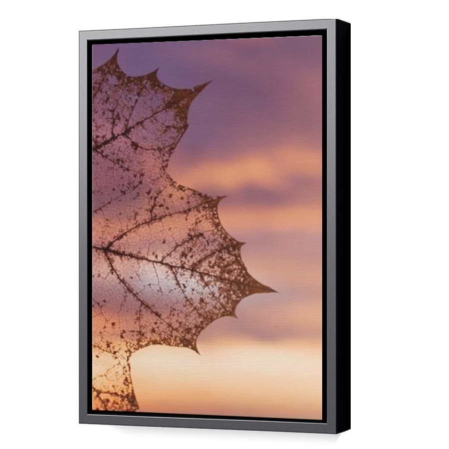 Thumbnail for Canvas - Black Floating Frame