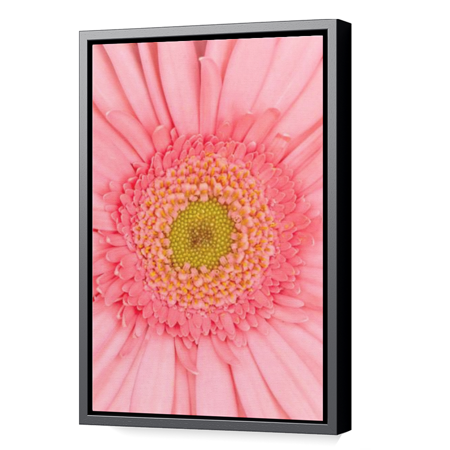 Thumbnail for Canvas - Black Floating Frame
