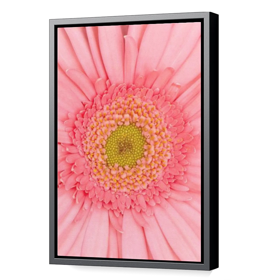 Thumbnail for Canvas - Black Floating Frame