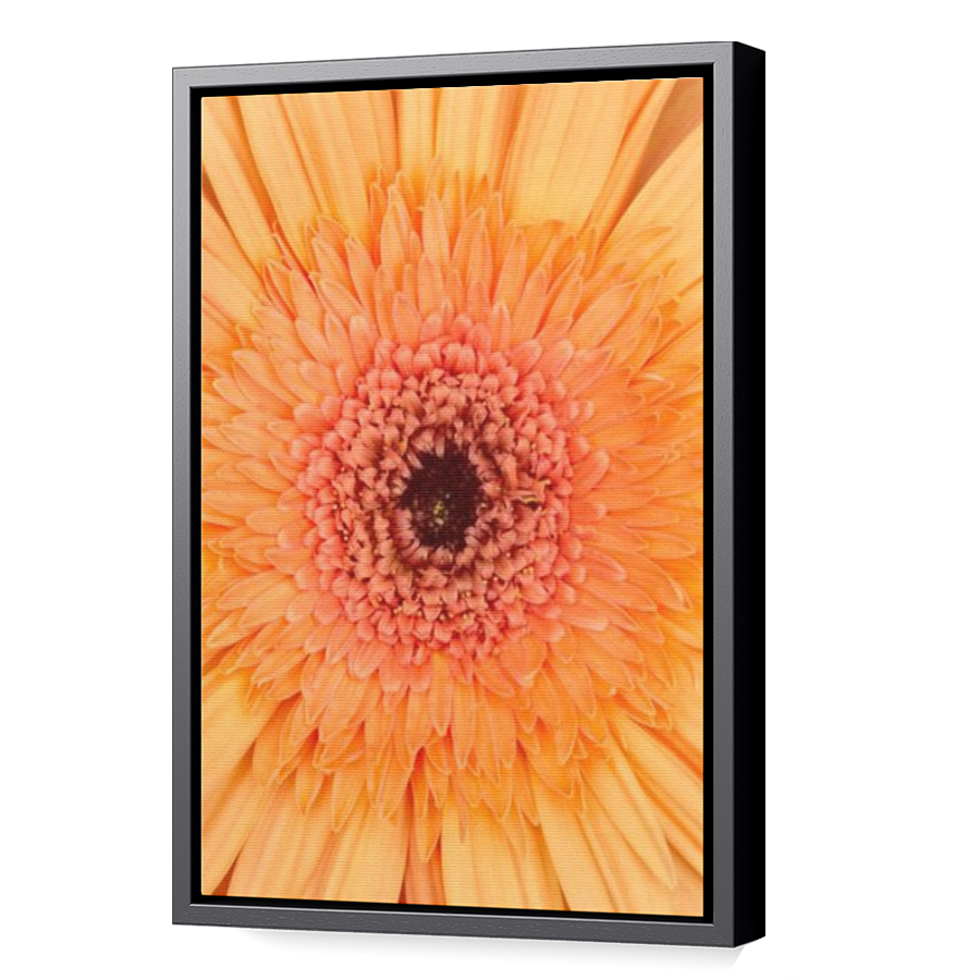 Thumbnail for Canvas - Black Floating Frame