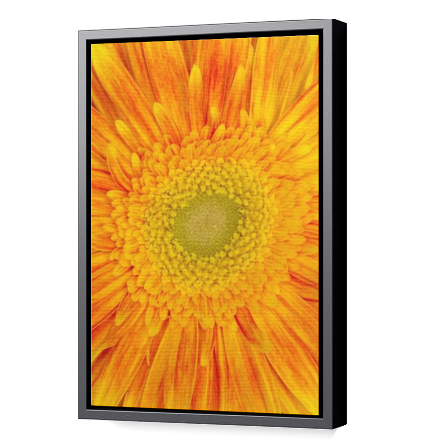 Thumbnail for Canvas - Black Floating Frame
