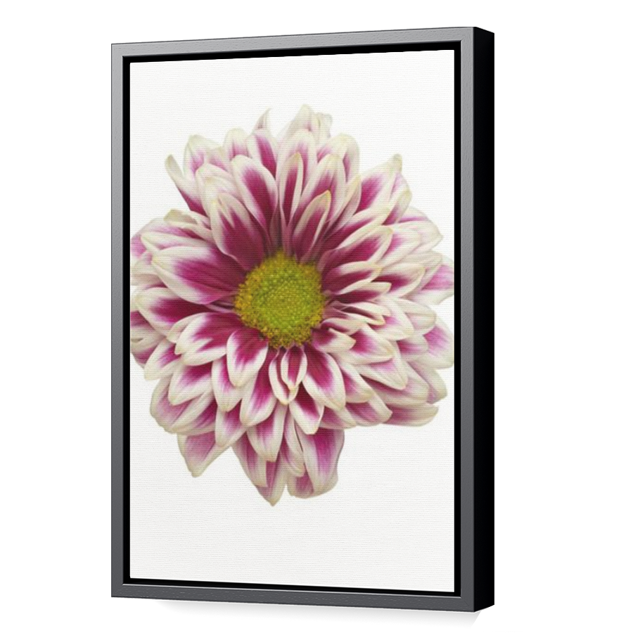 Thumbnail for Canvas - Black Floating Frame
