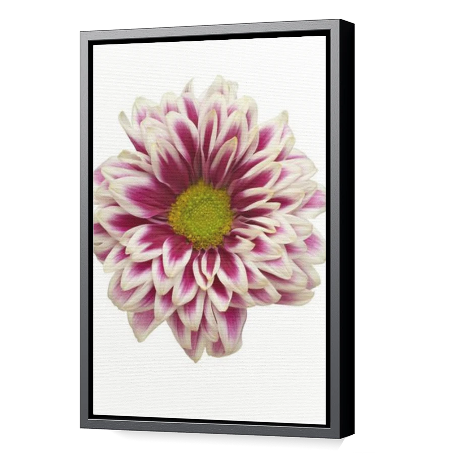 Thumbnail for Canvas - Black Floating Frame