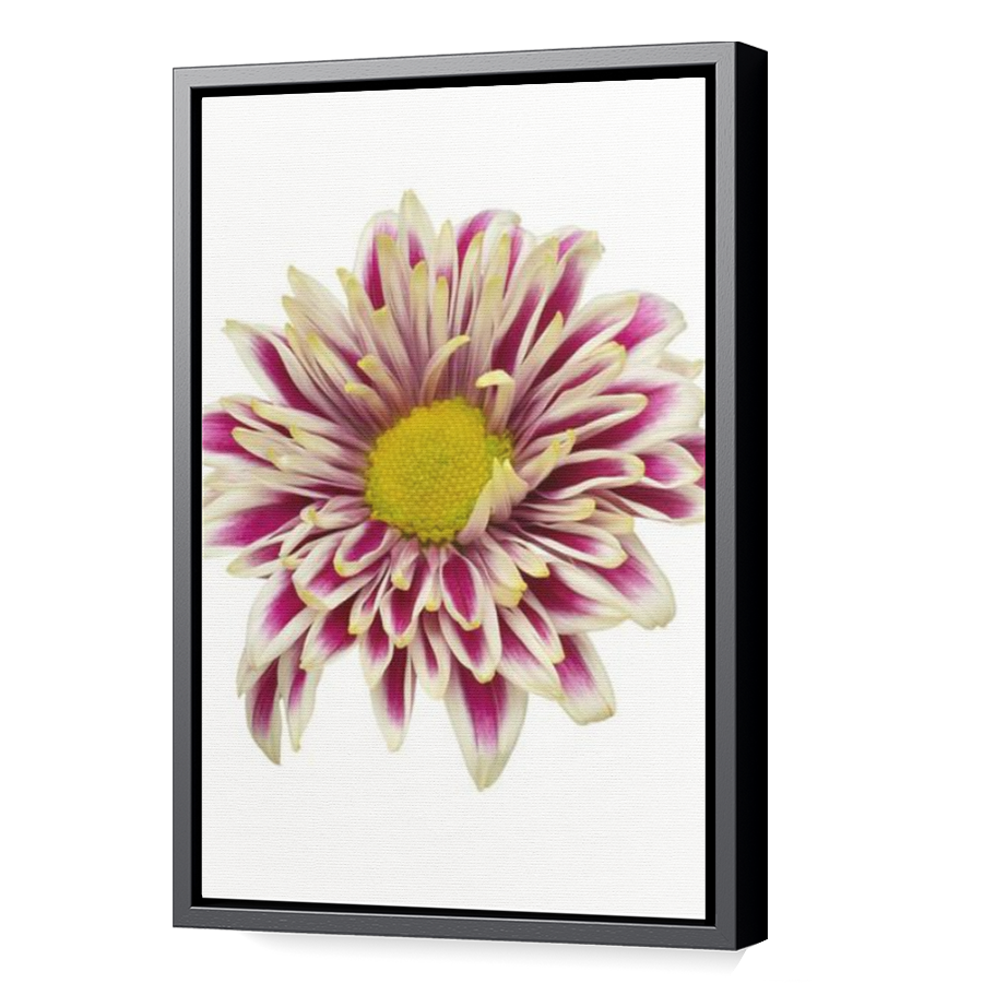 Thumbnail for Canvas - Black Floating Frame