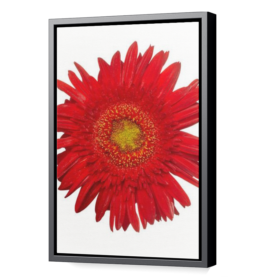 Thumbnail for Canvas - Black Floating Frame