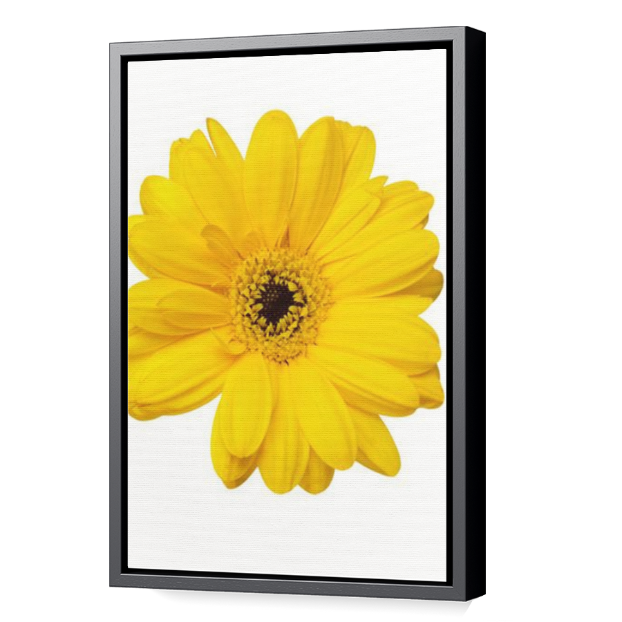 Thumbnail for Canvas - Black Floating Frame