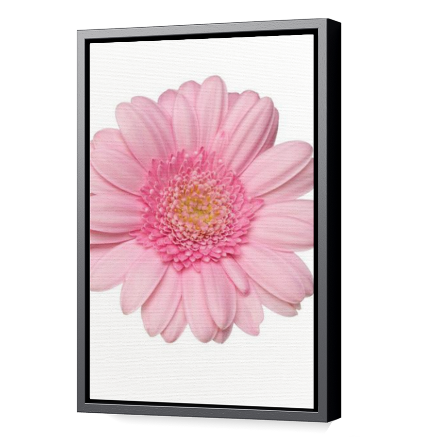 Thumbnail for Canvas - Black Floating Frame