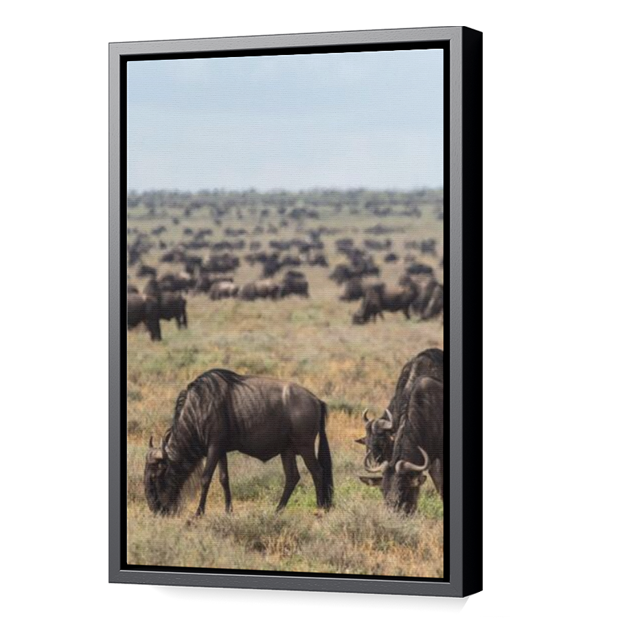 Thumbnail for Canvas - Black Floating Frame