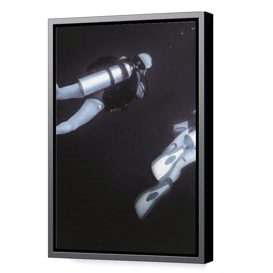 Thumbnail for Canvas - Black Floating Frame