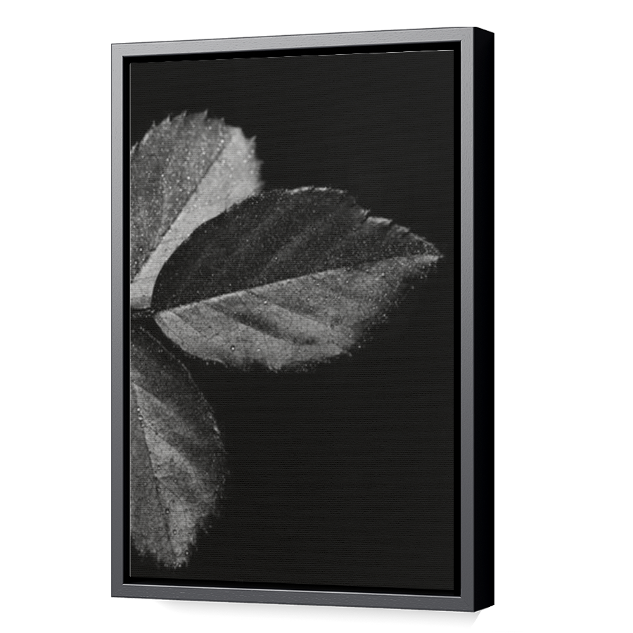 Thumbnail for Canvas - Black Floating Frame