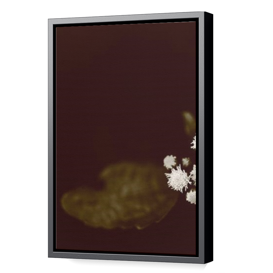 Thumbnail for Canvas - Black Floating Frame