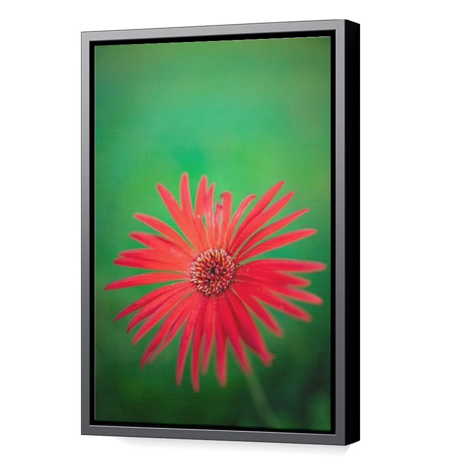 Thumbnail for Canvas - Black Floating Frame