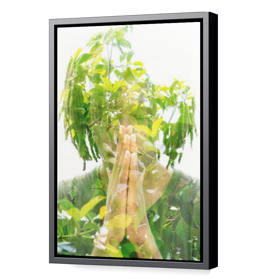 Thumbnail for Canvas - Black Floating Frame