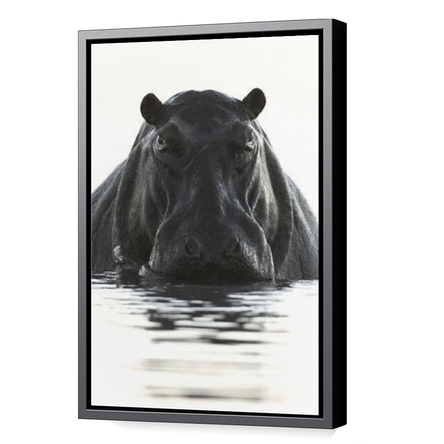 Thumbnail for Canvas - Black Floating Frame
