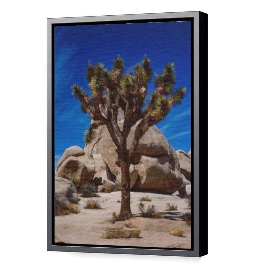 Thumbnail for Canvas - Black Floating Frame
