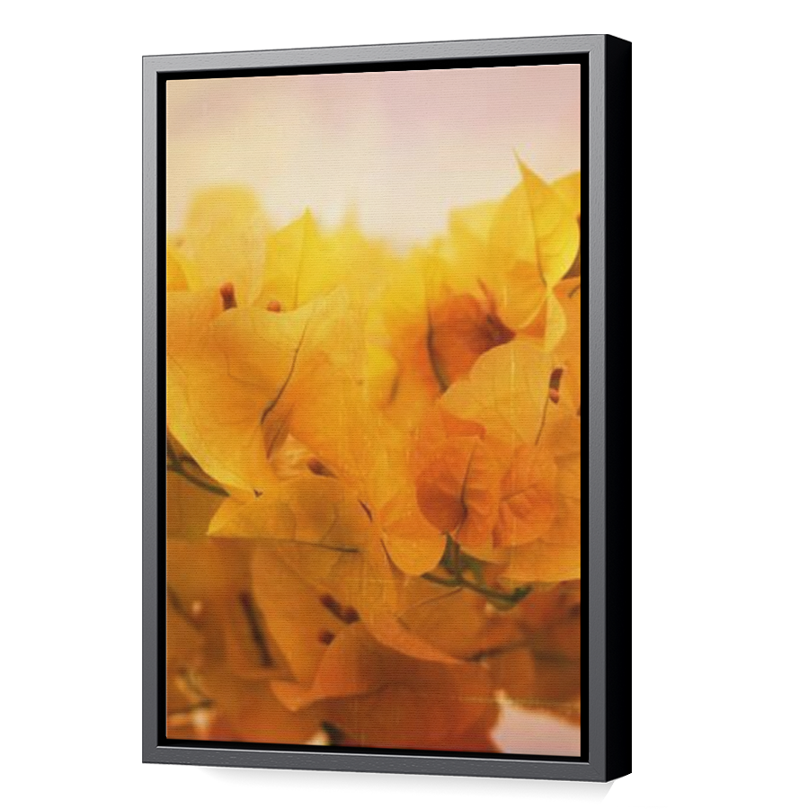 Thumbnail for Canvas - Black Floating Frame