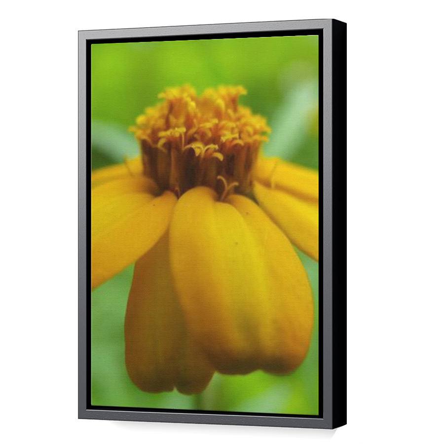 Thumbnail for Canvas - Black Floating Frame