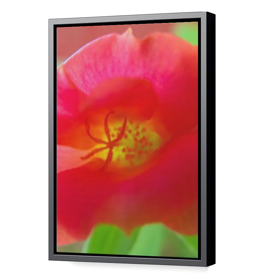 Thumbnail for Canvas - Black Floating Frame