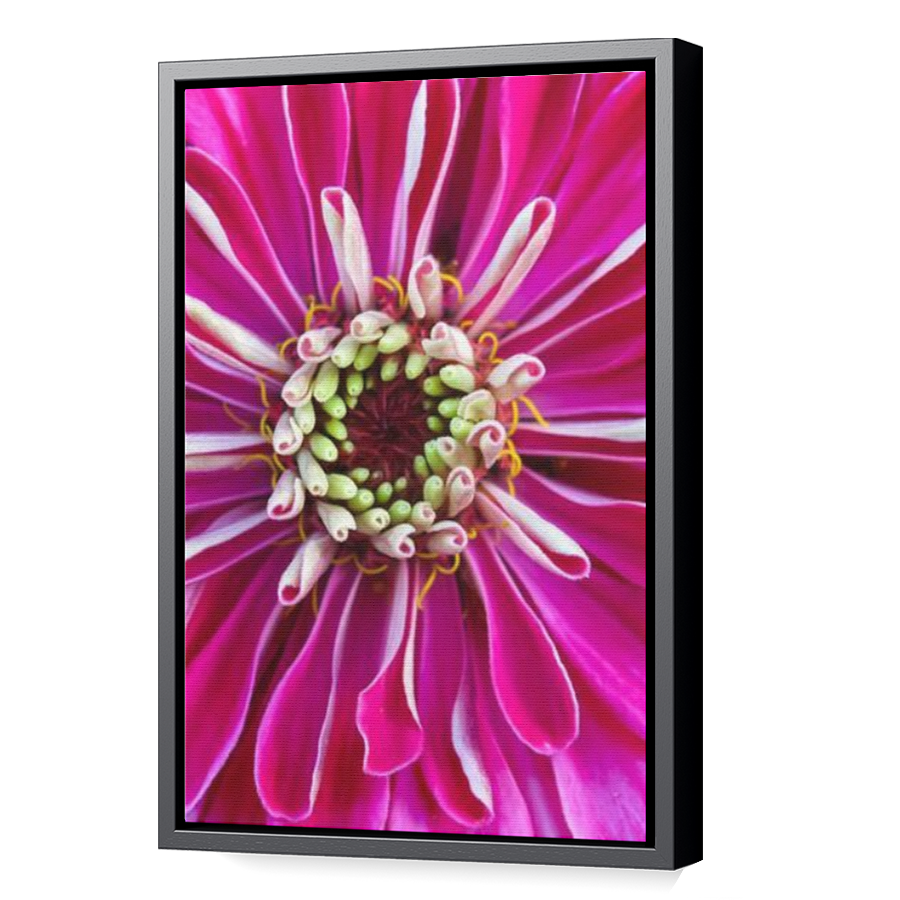 Thumbnail for Canvas - Black Floating Frame