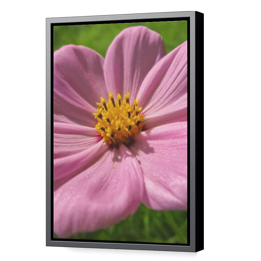 Thumbnail for Canvas - Black Floating Frame