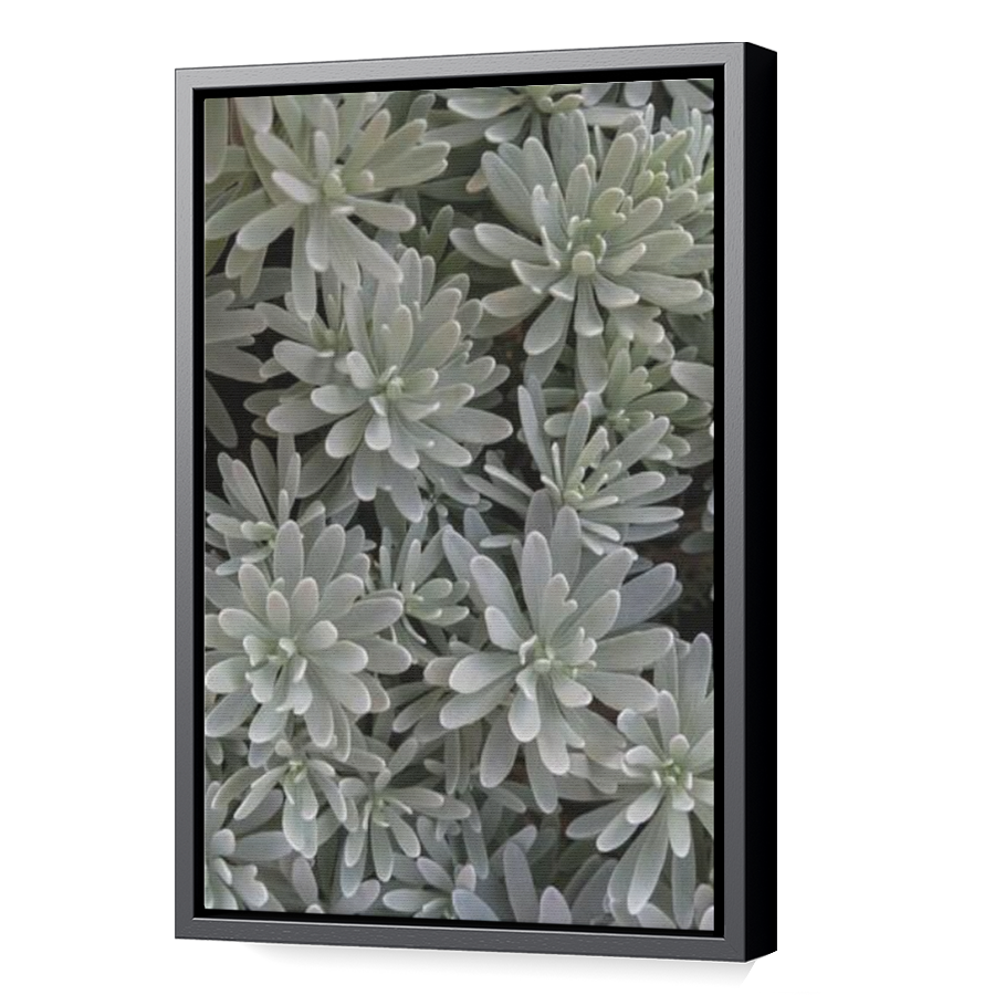 Thumbnail for Canvas - Black Floating Frame
