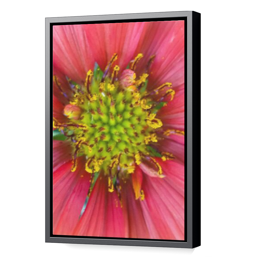 Thumbnail for Canvas - Black Floating Frame