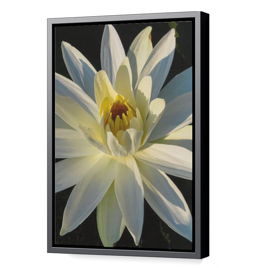 Thumbnail for Canvas - Black Floating Frame