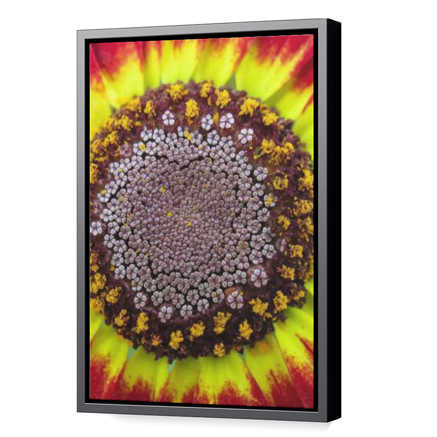 Thumbnail for Canvas - Black Floating Frame