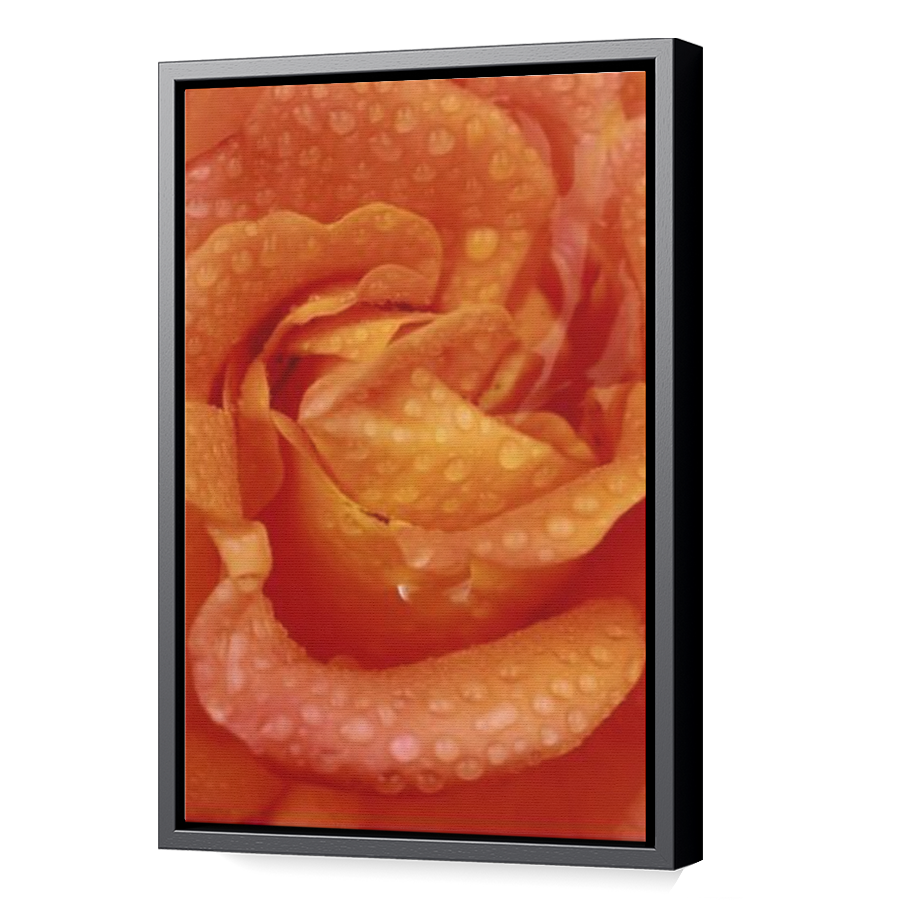 Thumbnail for Canvas - Black Floating Frame