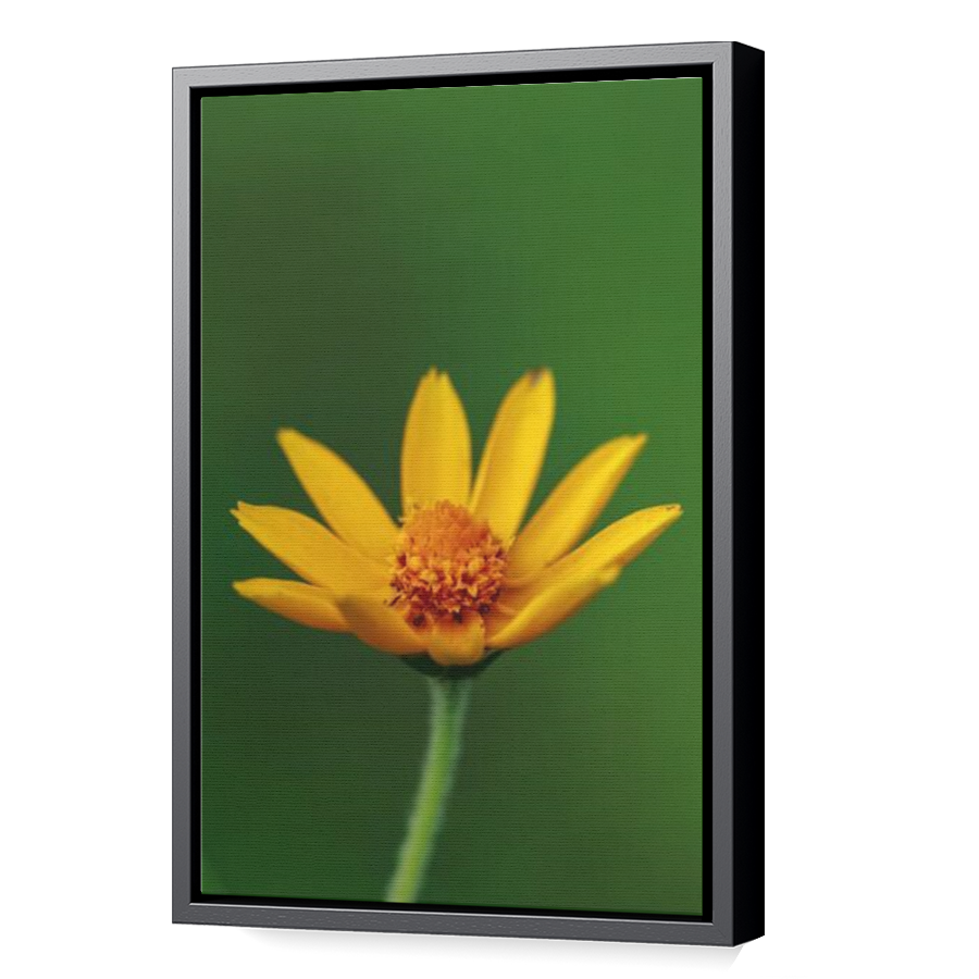 Thumbnail for Canvas - Black Floating Frame