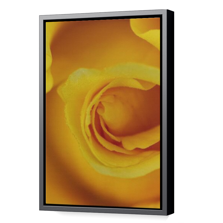 Thumbnail for Canvas - Black Floating Frame