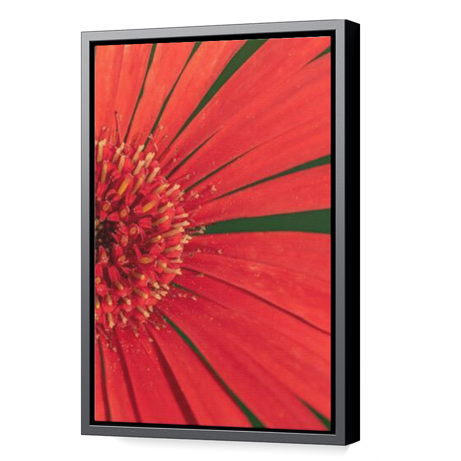 Thumbnail for Canvas - Black Floating Frame