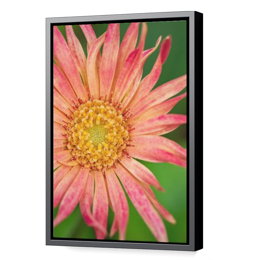 Thumbnail for Canvas - Black Floating Frame