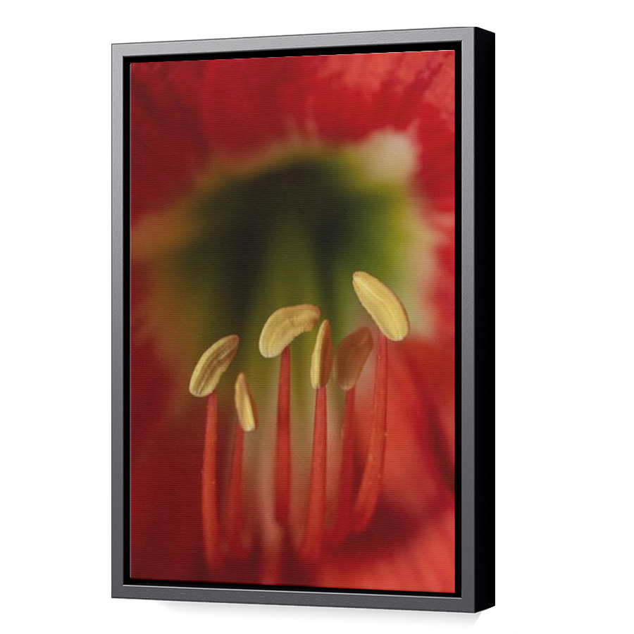 Thumbnail for Canvas - Black Floating Frame