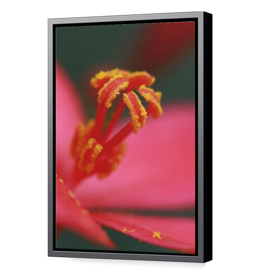 Thumbnail for Canvas - Black Floating Frame
