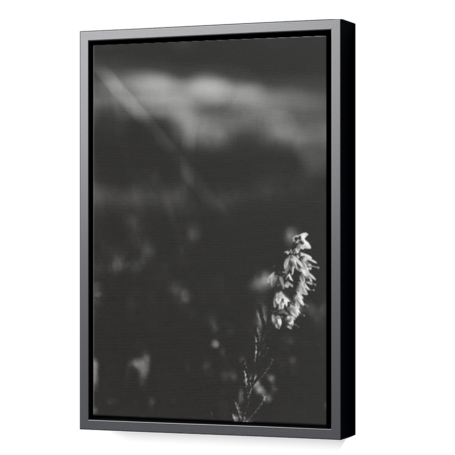 Thumbnail for Canvas - Black Floating Frame