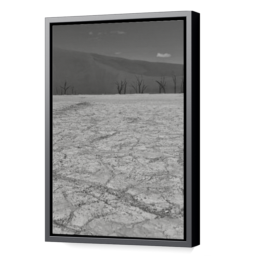 Thumbnail for Canvas - Black Floating Frame