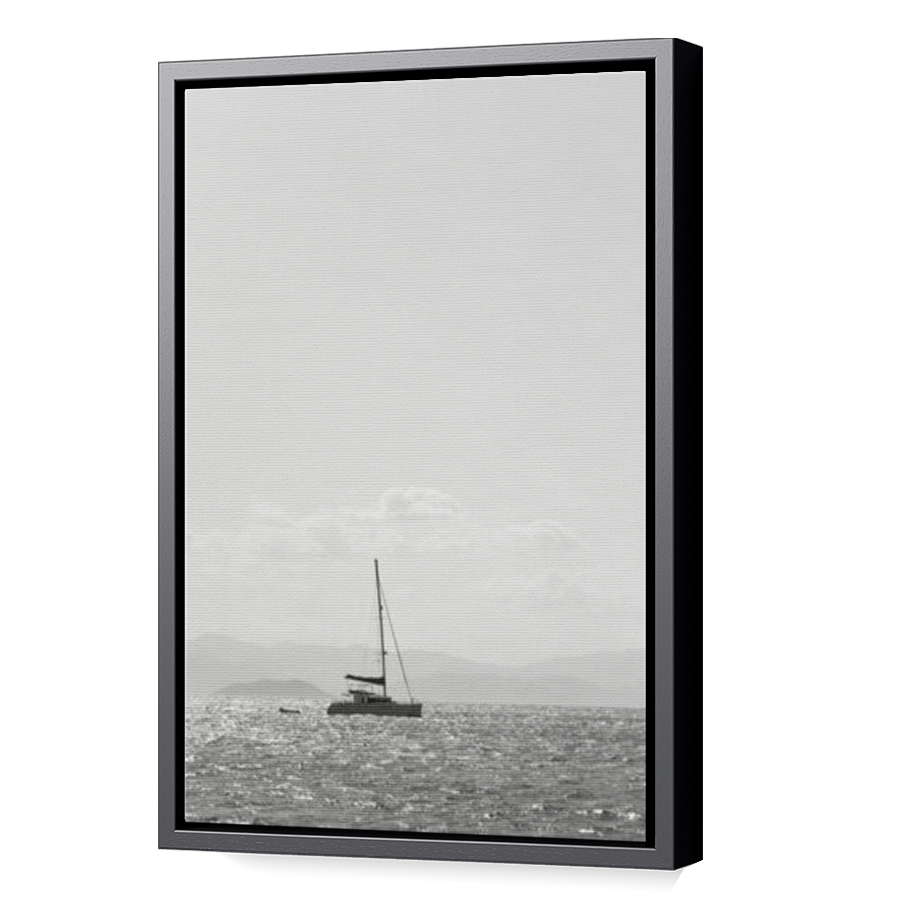 Thumbnail for Canvas - Black Floating Frame
