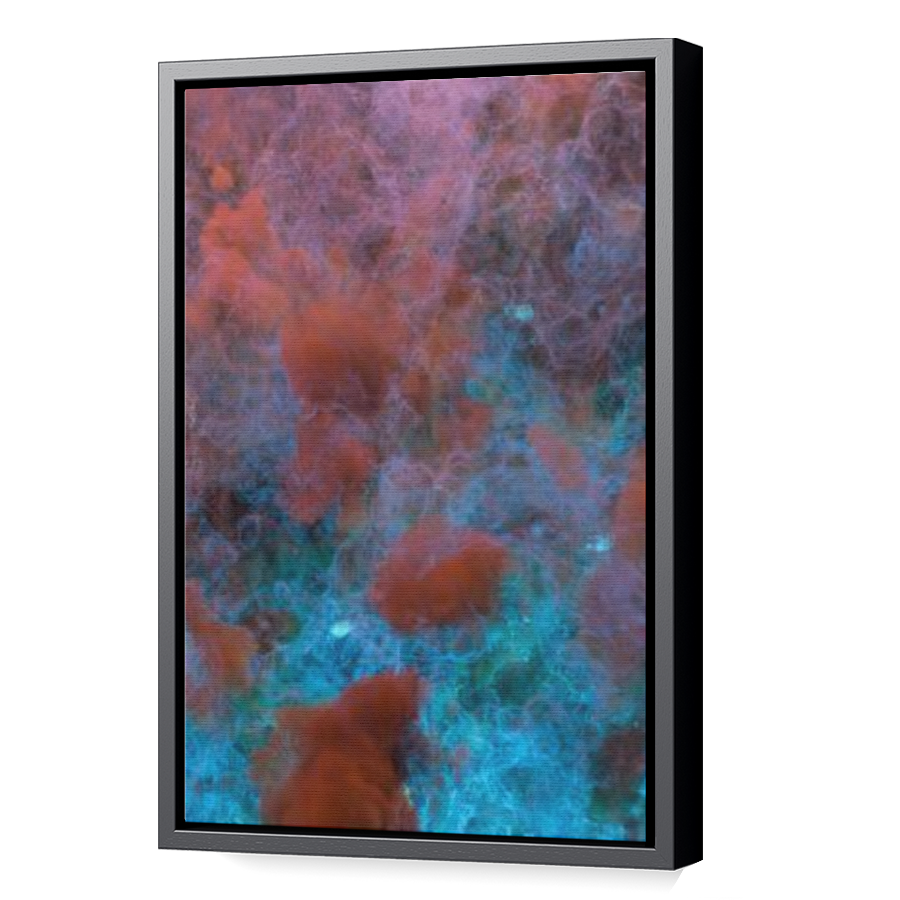 Thumbnail for Canvas - Black Floating Frame