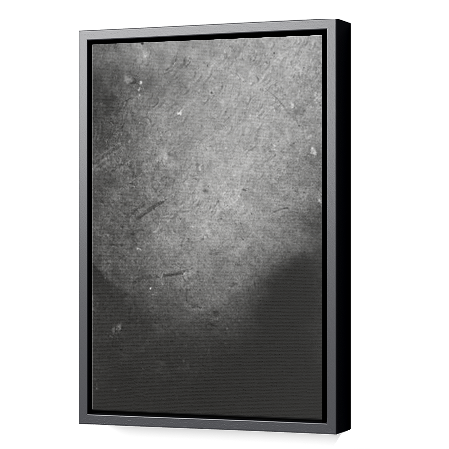Thumbnail for Canvas - Black Floating Frame