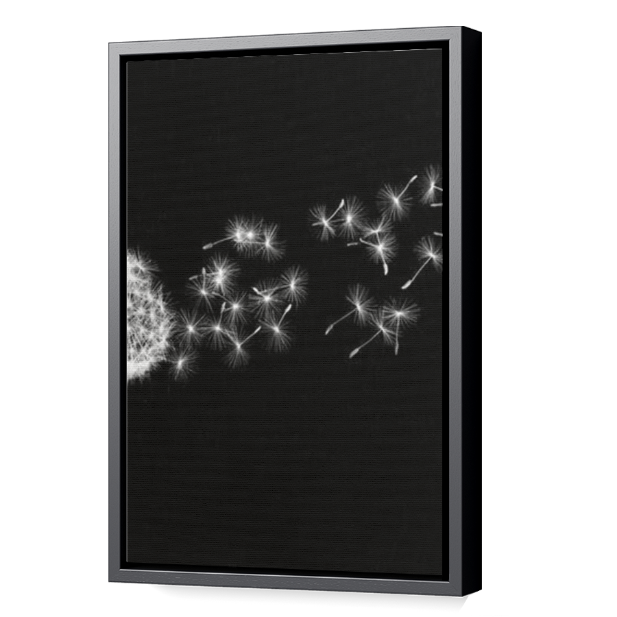 Thumbnail for Canvas - Black Floating Frame