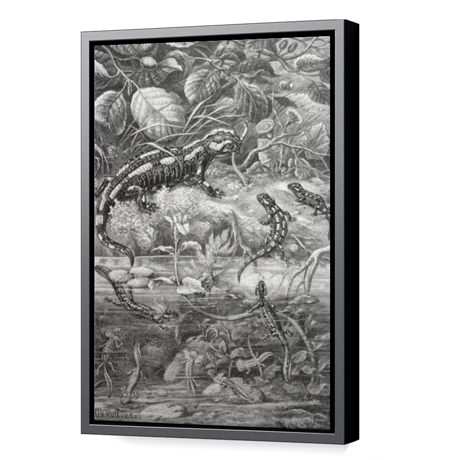 Thumbnail for Canvas - Black Floating Frame