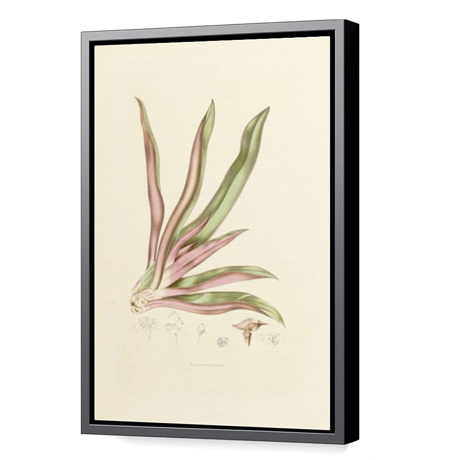 Thumbnail for Canvas - Black Floating Frame