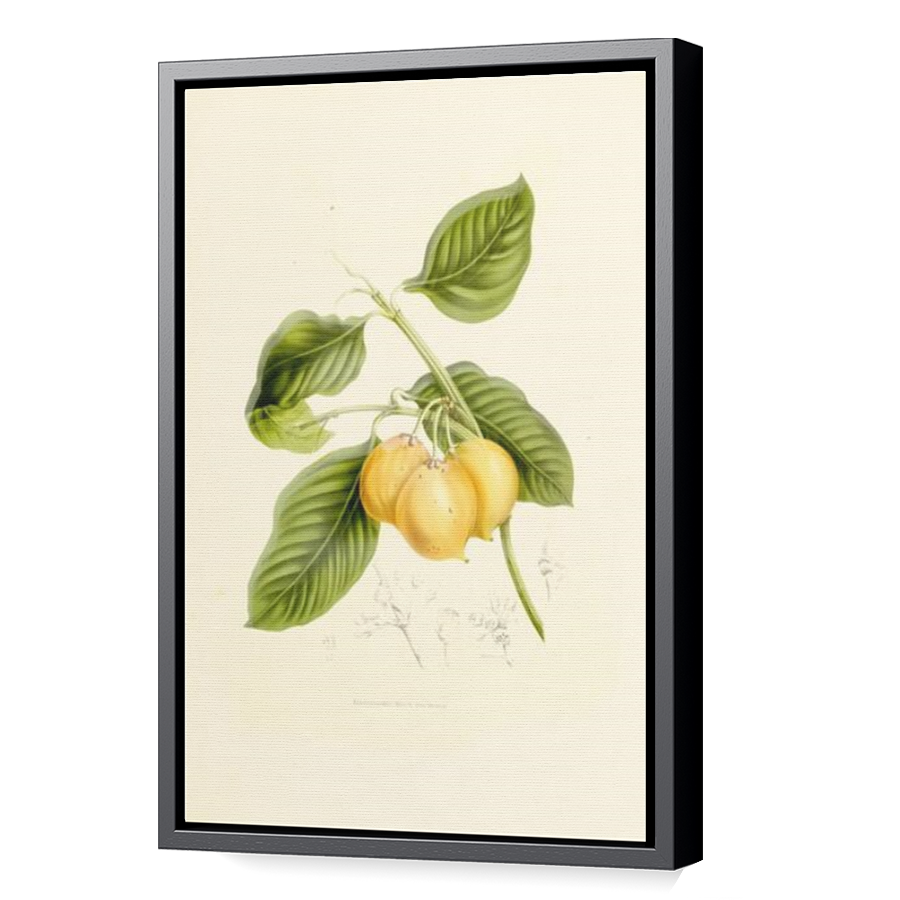 Thumbnail for Canvas - Black Floating Frame