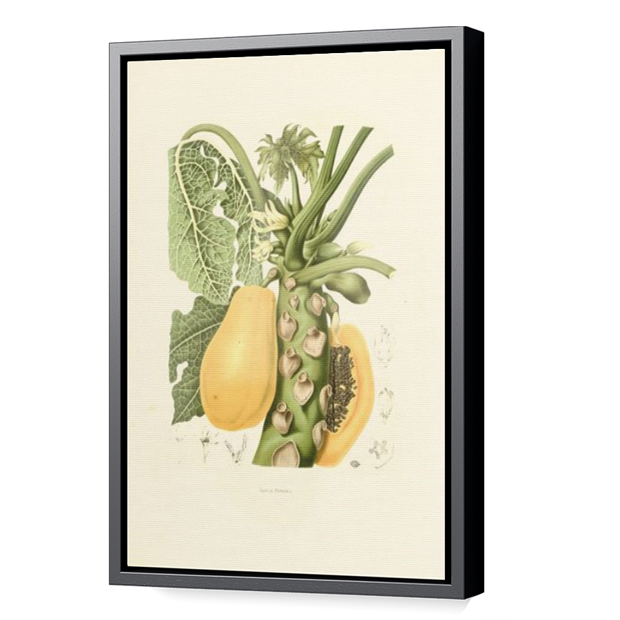 Thumbnail for Canvas - Black Floating Frame