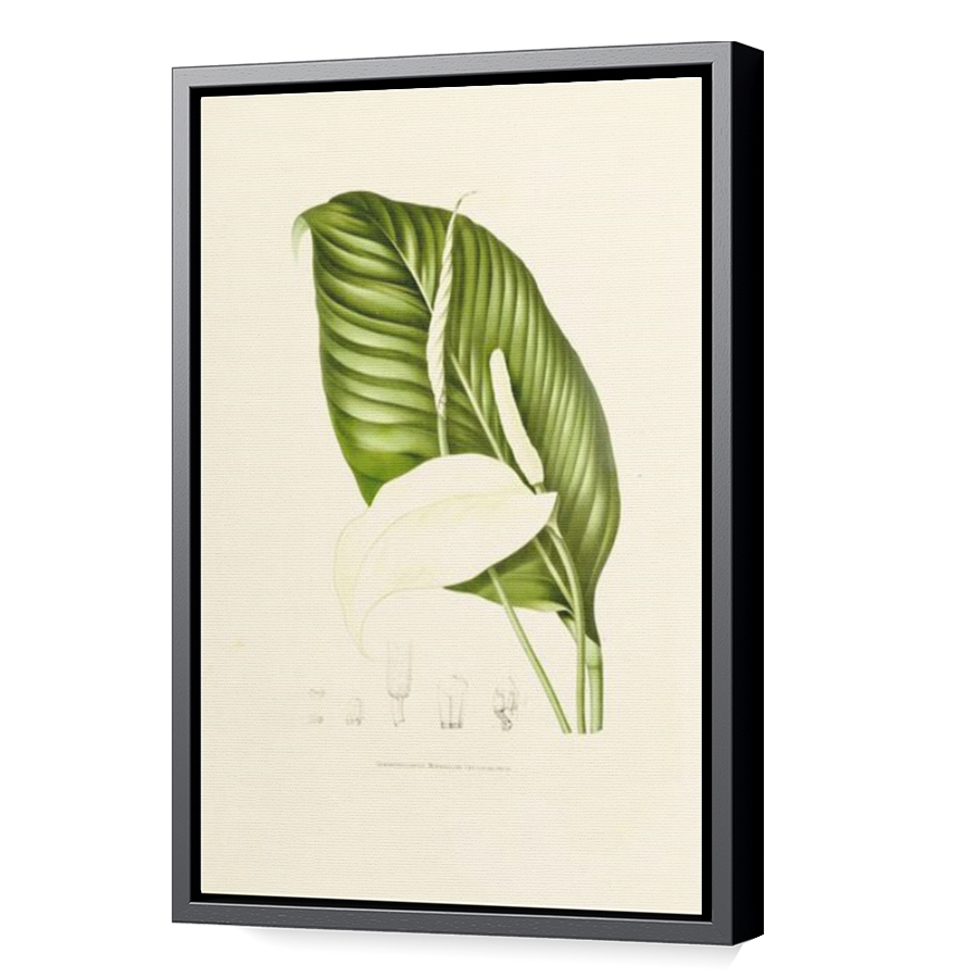 Thumbnail for Canvas - Black Floating Frame