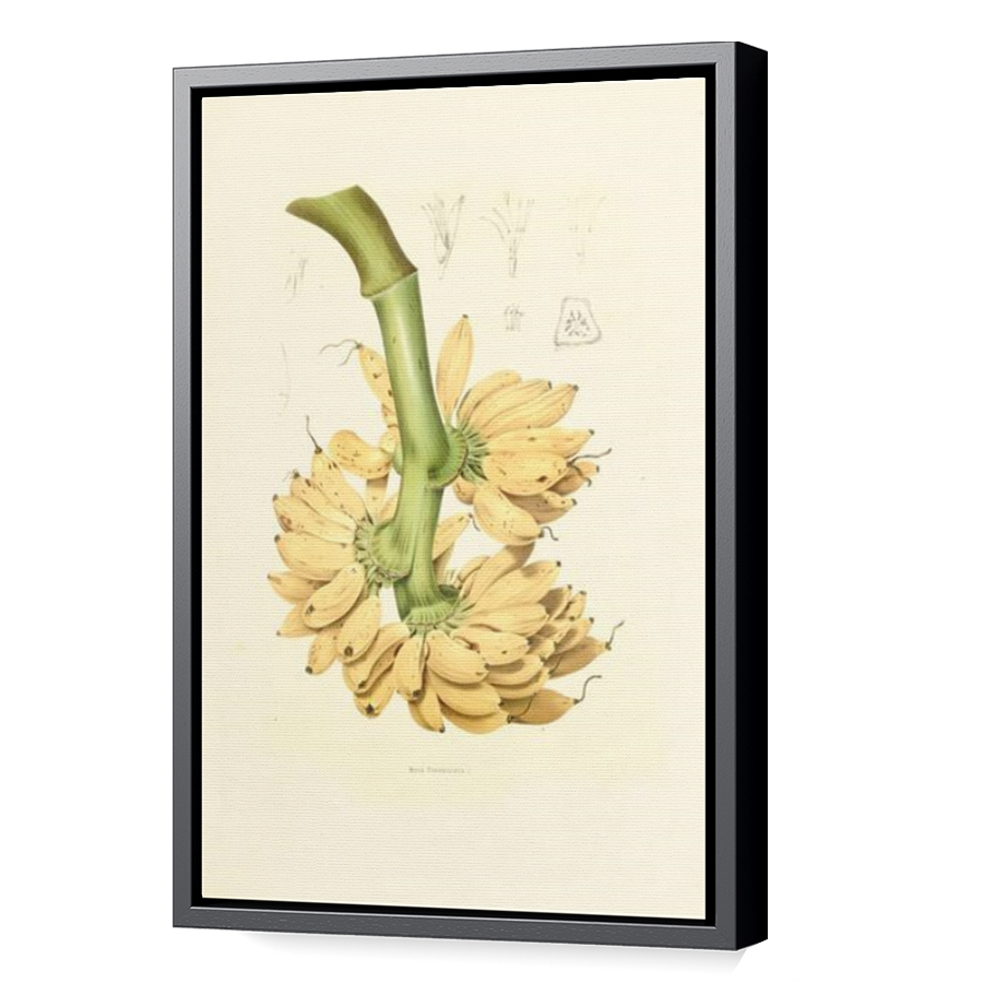 Thumbnail for Canvas - Black Floating Frame