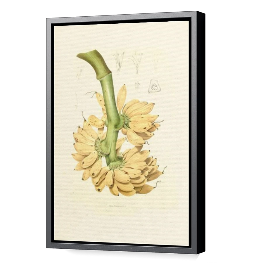 Thumbnail for Canvas - Black Floating Frame